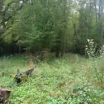 Dans La Campagne Bourbonnaise Pouzy-Mesangy