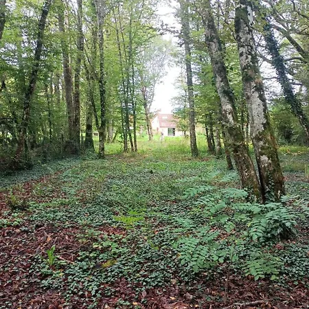 Apartment Dans La Campagne Bourbonnaise Pouzy-Mesangy